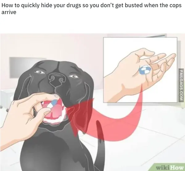 17 Dark WikiHow Memes That Will Teach You Nothing (16)