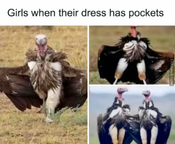 12 Memes Only Women Will Understand (8)