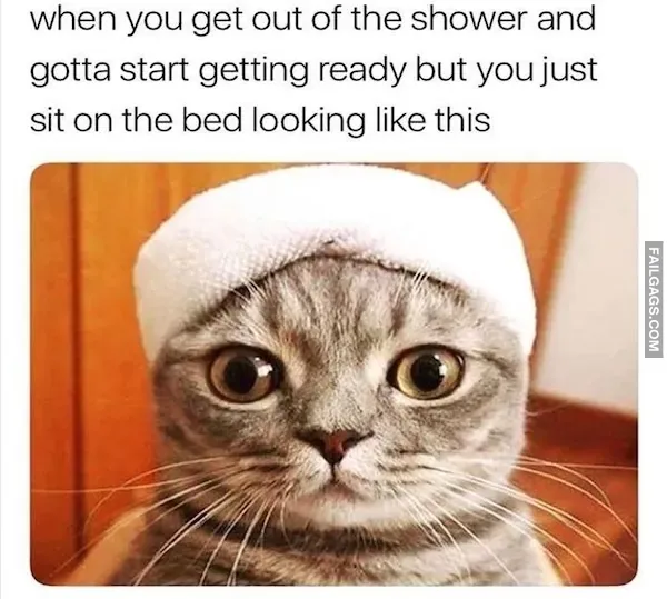 13 Animal Memes to Brighten Your Day (7)