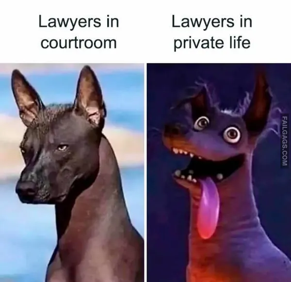 10 Lawyerly Memes That Are Guilty of Hilarity (6)