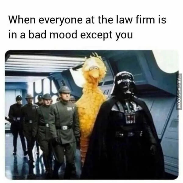 10 Lawyerly Memes That Are Guilty of Hilarity (7)