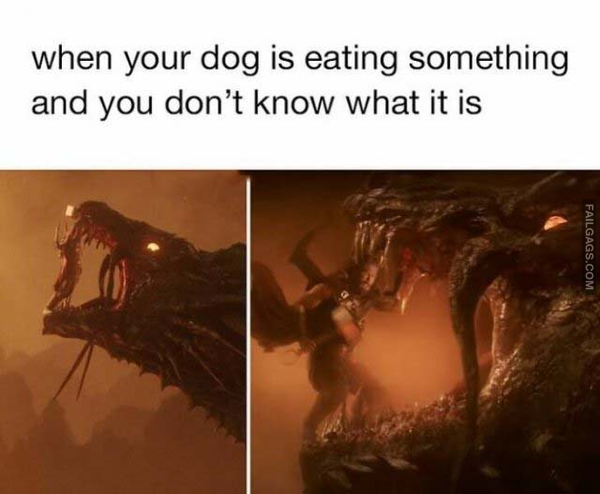 10 Truthful Memes That Are So True It Kind of Hurts (8)