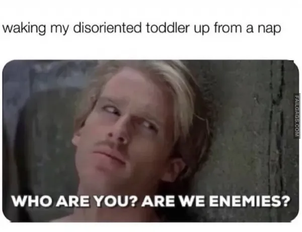 11 Parenting Memes to Read While Your Child is Asleep (9)