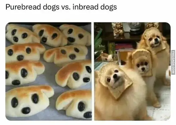 12 Hilarious Random Memes to Chase Away the Workweek Blues (5)