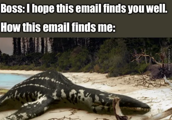 13 Dinosaur Memes That'll Make Your Boredom Go Extinct (4)