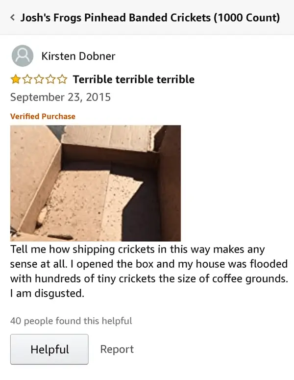 13 Funny Amazon Product Reviews That You Shouldn't Miss! (10)