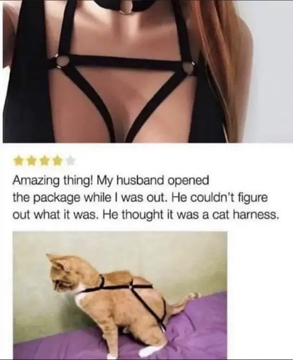 13 Funny Amazon Product Reviews That You Shouldn't Miss! (8)