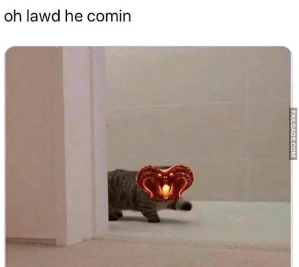 13 Funny Lord of the Rings Memes From the Depths of Moria (11)