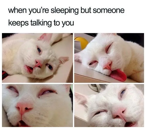 13 Funny Sleep Memes That Anyone Can Relate to (1)