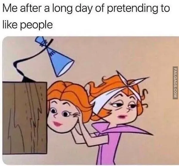 13 Introverted Memes Every Introvert Will Relate to (5)