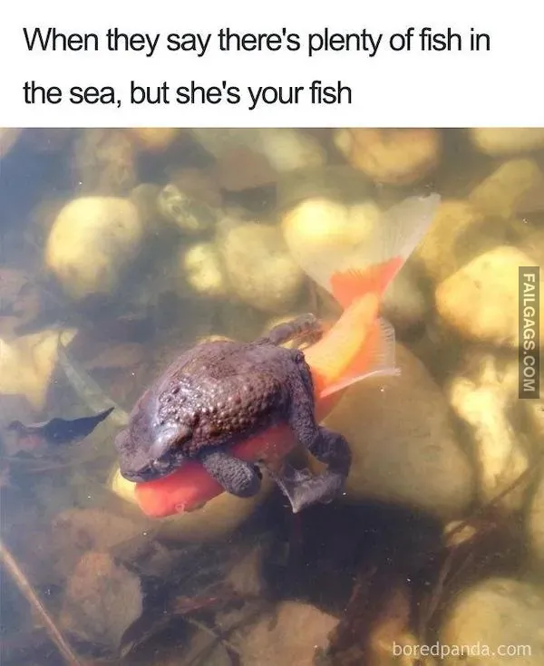 13 Saucy Memes to Share With Friends (5)