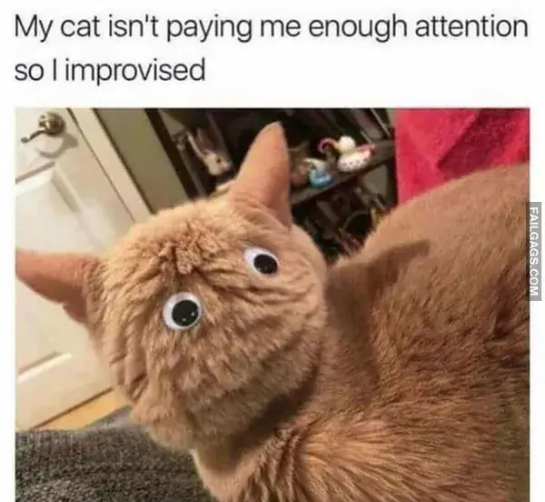 14 Painfully Accurate Animal Memes for Introverts (10)