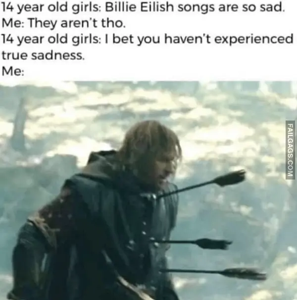 15 Funniest Lord of the Rings Memes in All of Middle earth (10)