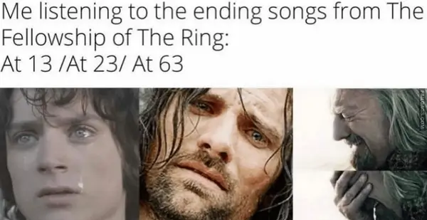 15 Funniest Lord of the Rings Memes in All of Middle earth (13)