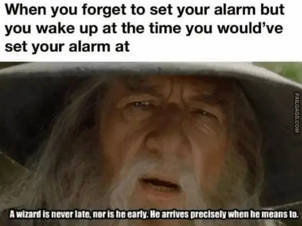 15 Funniest Lord of the Rings Memes in All of Middle earth (16)