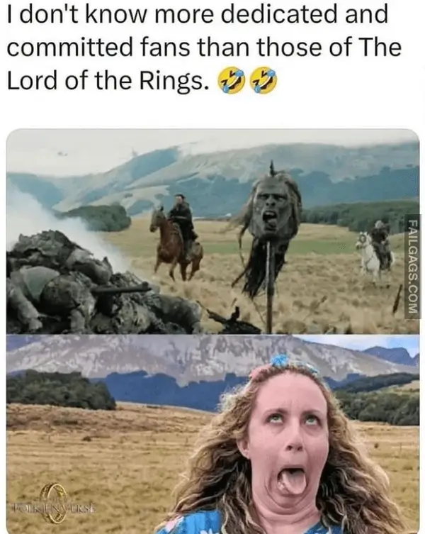 15 Funniest Lord of the Rings Memes in All of Middle earth (4)