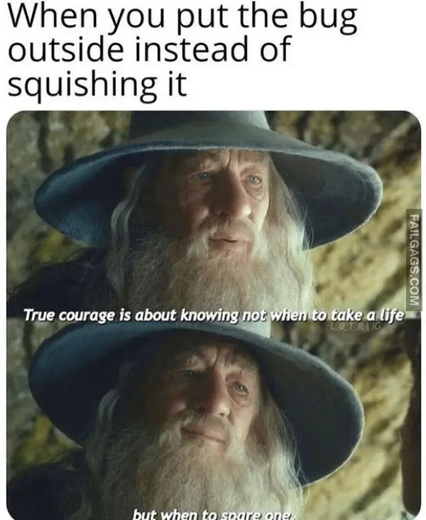 15 Funniest Lord of the Rings Memes in All of Middle earth (6)