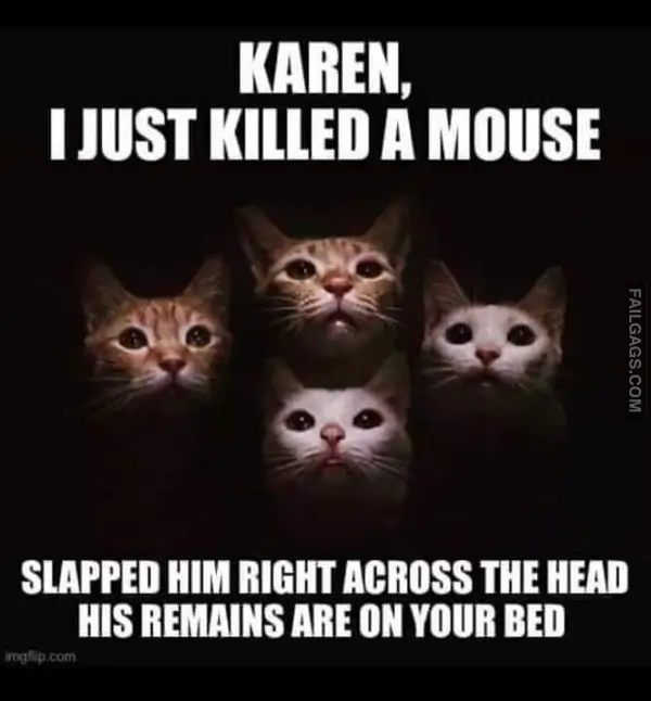 15 Hissterical Cat Memes From Around the Web (12)